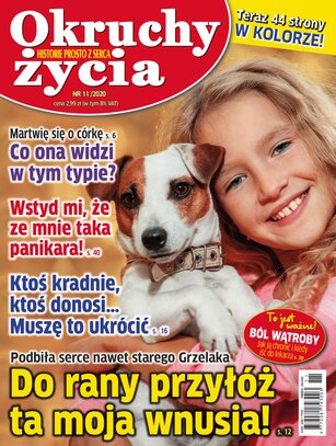 Okruchy Życia 11/2020