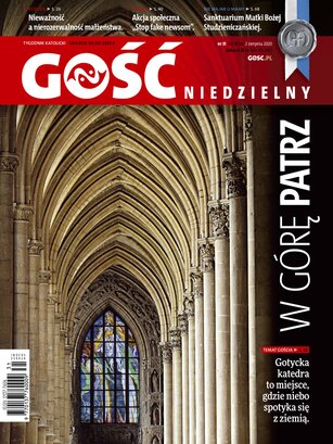 Gość Niedzielny Katowicki 31/2020