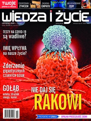 Wiedza i Życie 11/2020
