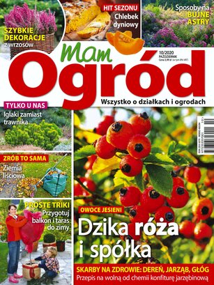 Mam Ogród 10/2020