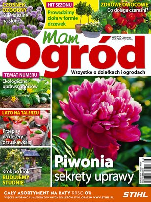 Mam Ogród 6/2020
