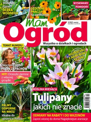 Mam Ogród 3/2021