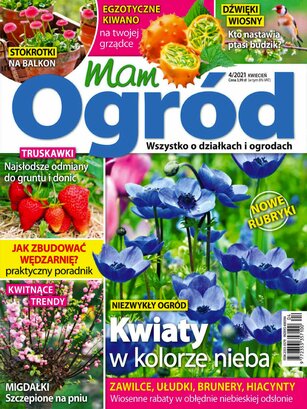 Mam Ogród 4/2021
