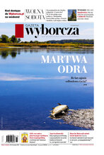 Gazeta Wyborcza Płock 193/2022