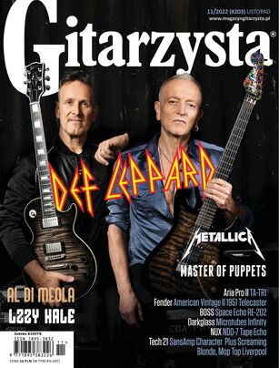 Gitarzysta 11/2022