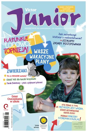 Victor Junior 6/2022