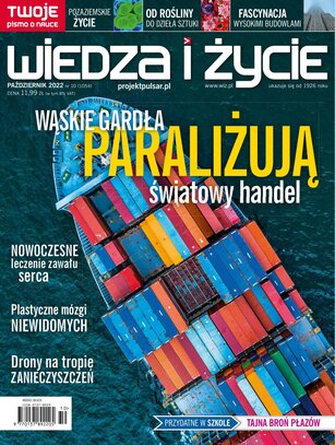 Wiedza i Życie 10/2022