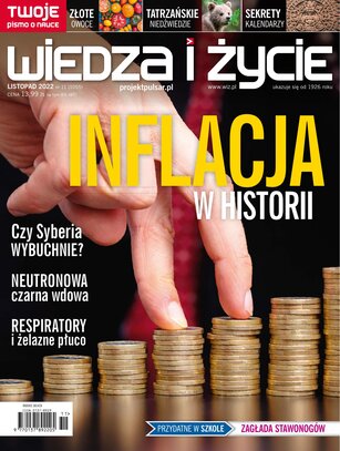 Wiedza i Życie 11/2022