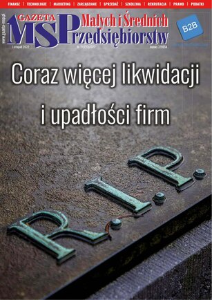 Gazeta Małych i Średnich Przedsiębiorstw 11/2022