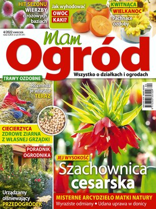 Mam Ogród 4/2022