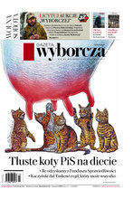 Gazeta Wyborcza Płock 22/2024