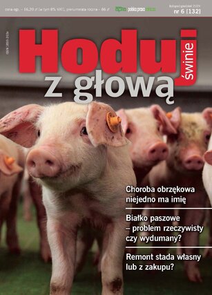 Hoduj z głową świnie 6/2024