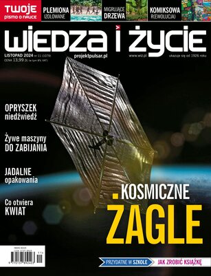 Wiedza i Życie 11/2024