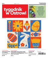 Tygodnik Ostrołęcki Tygodnik w Ostrowi 15/2025