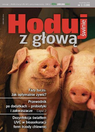 Hoduj z głową świnie 1/2026