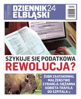 Dziennik Elbląski 166/2026