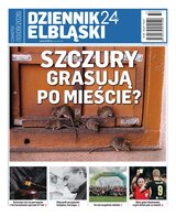 Dziennik Elbląski 176/2026